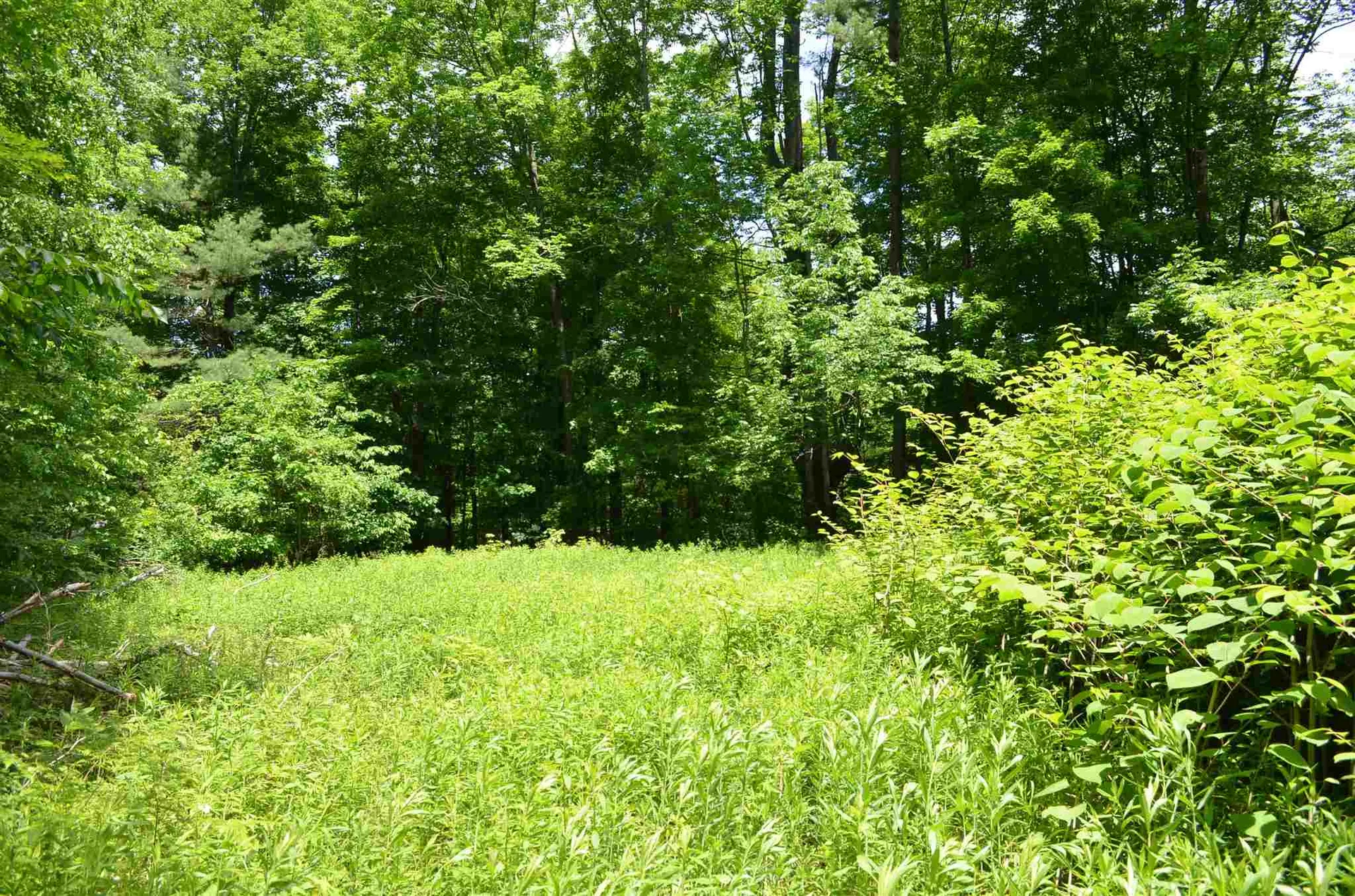 00 Spaulding Road Plymouth VT 05056