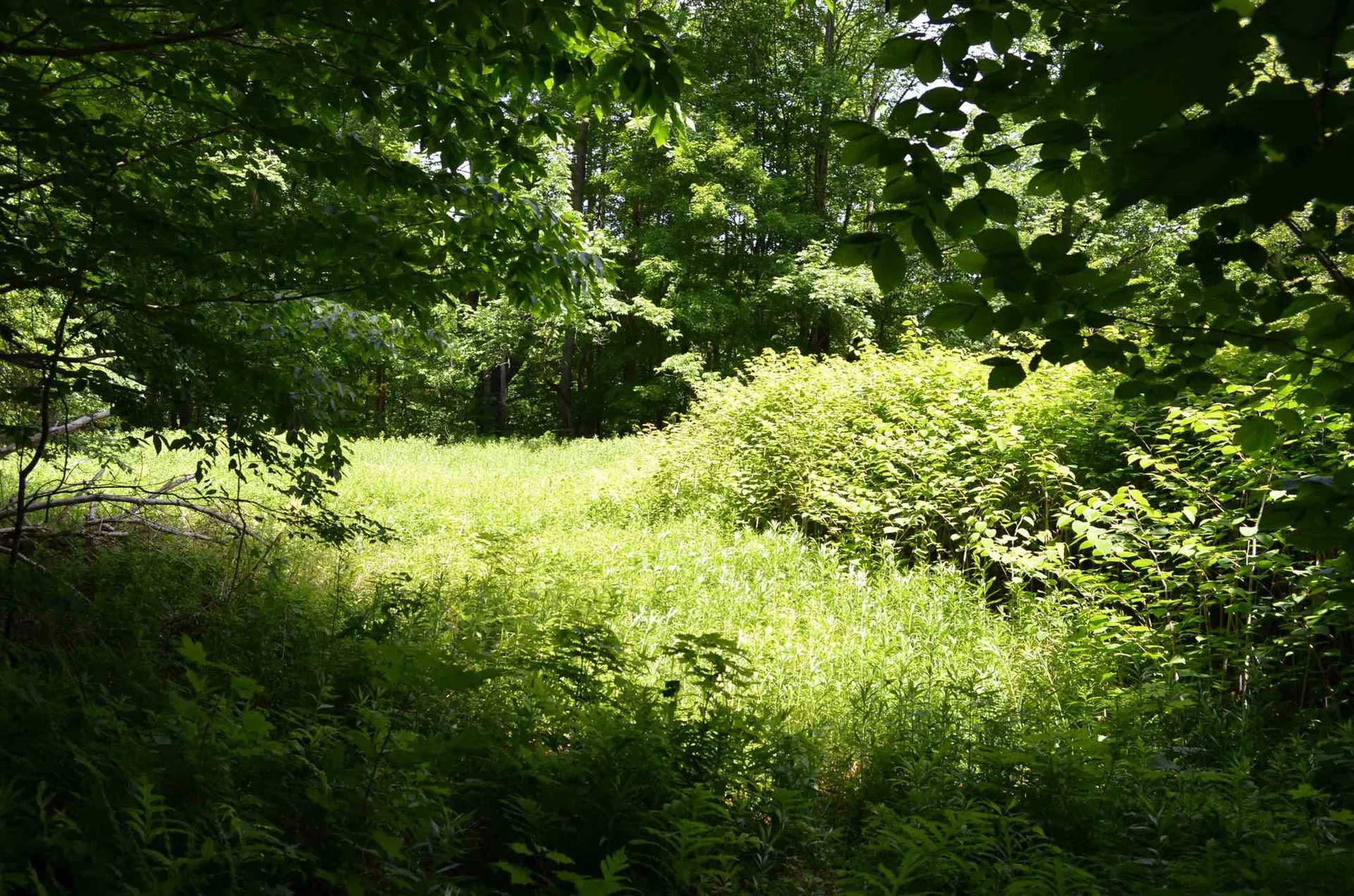 00 Spaulding Road Plymouth VT 05056