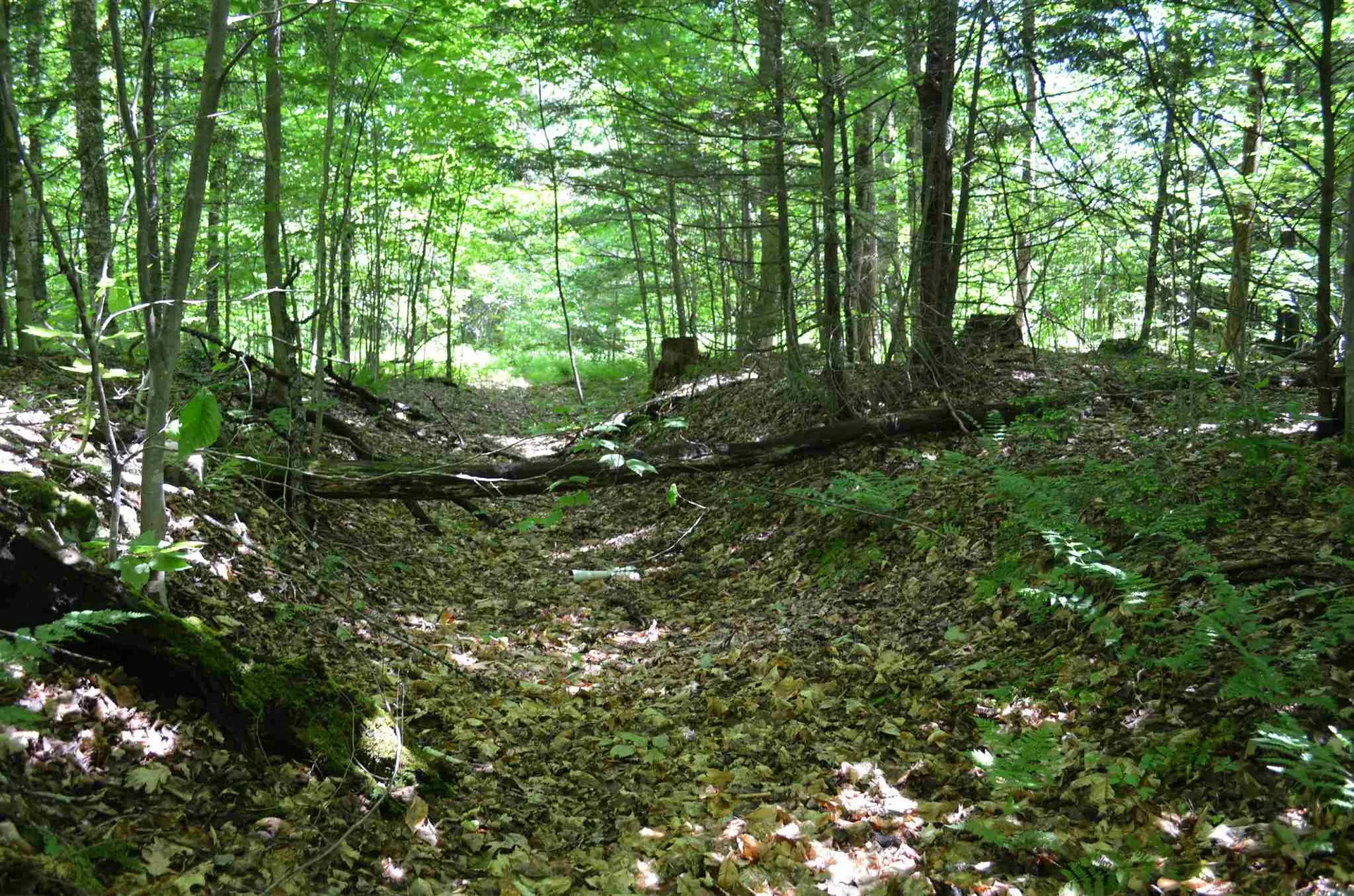 00 Spaulding Road Plymouth VT 05056