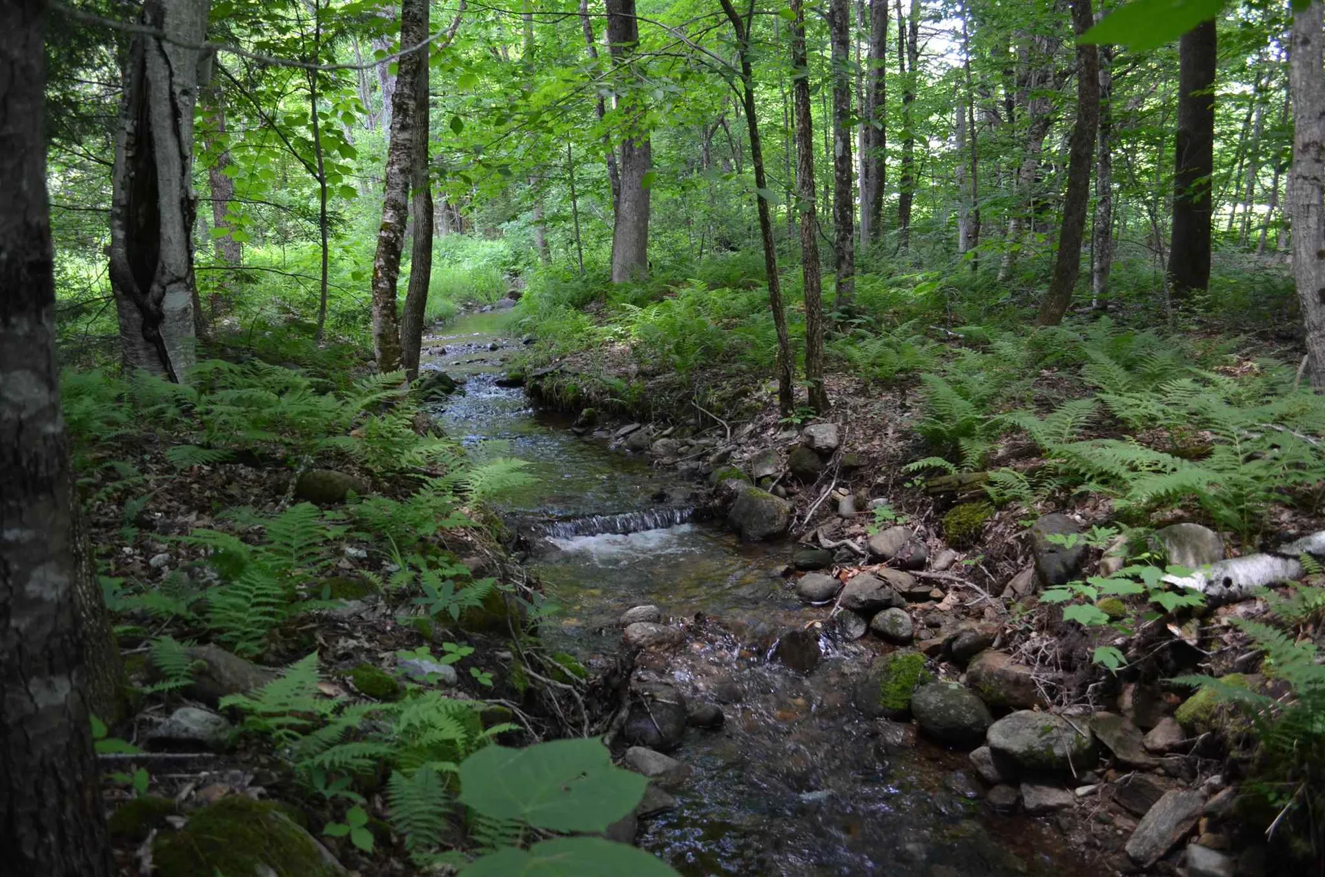 00 Spaulding Road Plymouth VT 05056