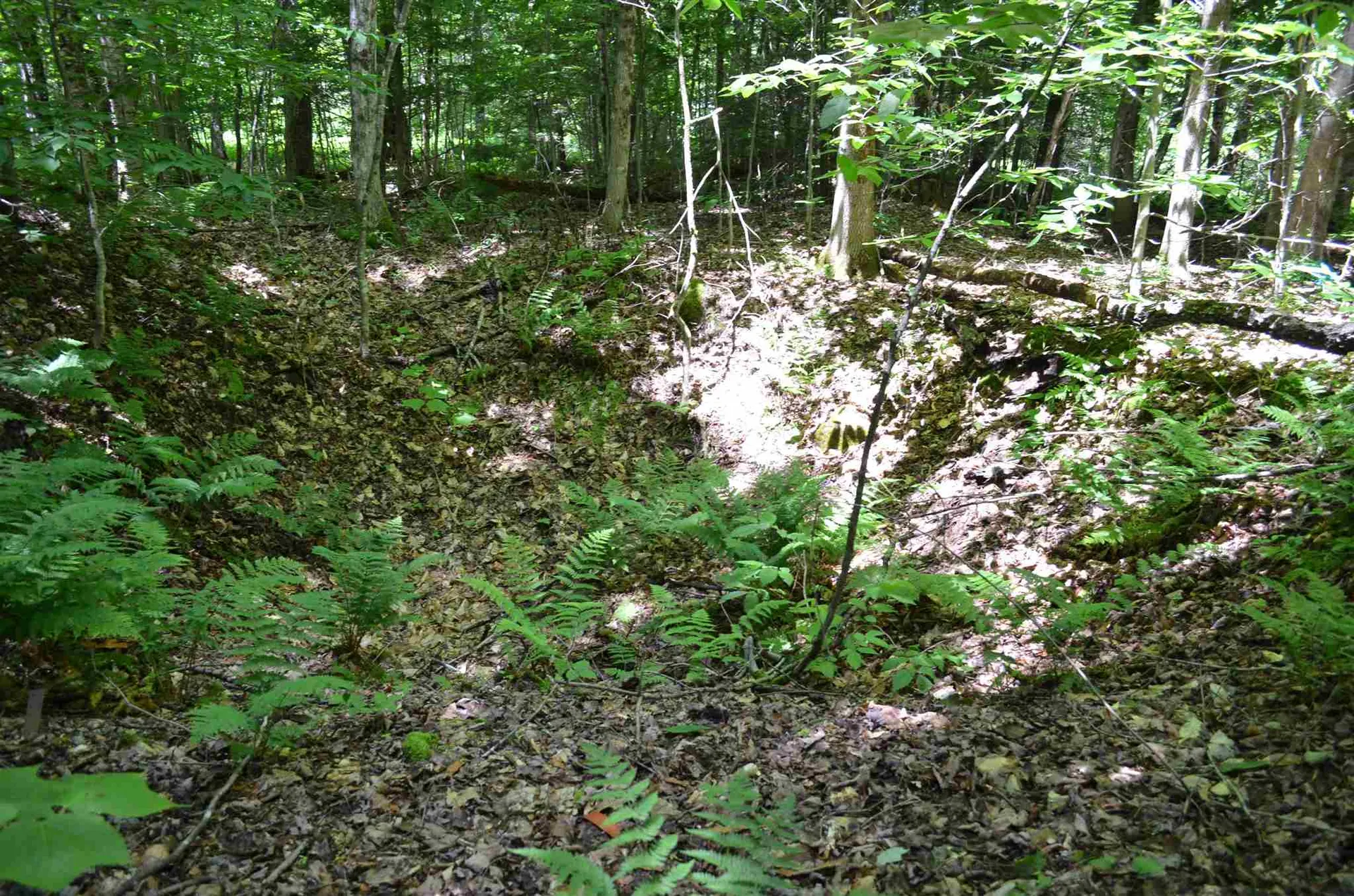 00 Spaulding Road Plymouth VT 05056