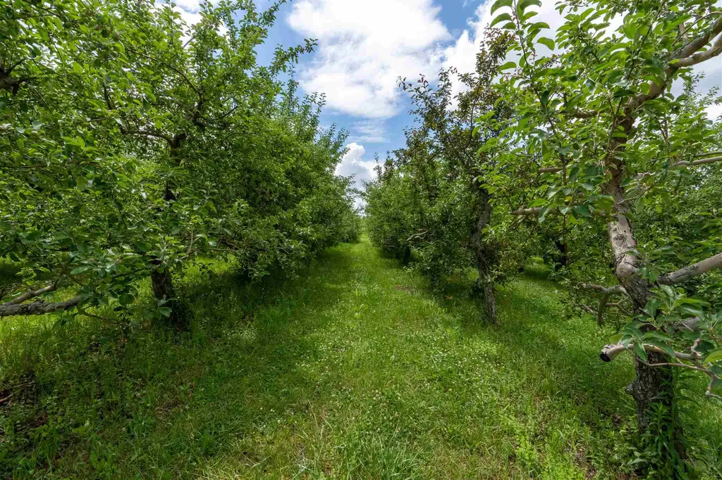 1087 Witherell Road Shoreham VT 05770