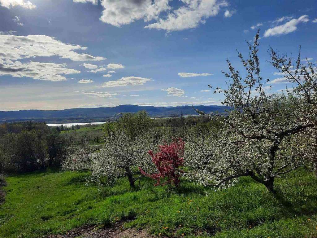 1087 Witherell Road Shoreham VT 05770
