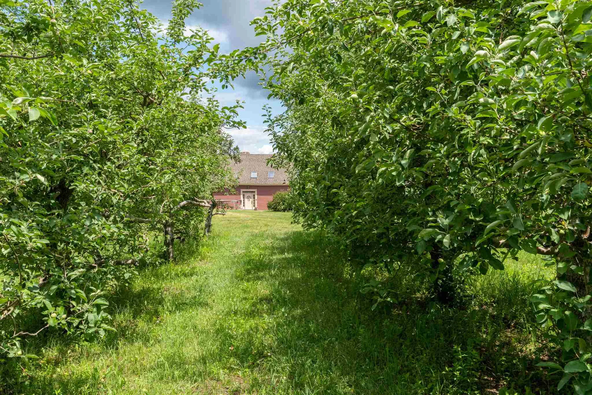 1087 Witherell Road Shoreham VT 05770
