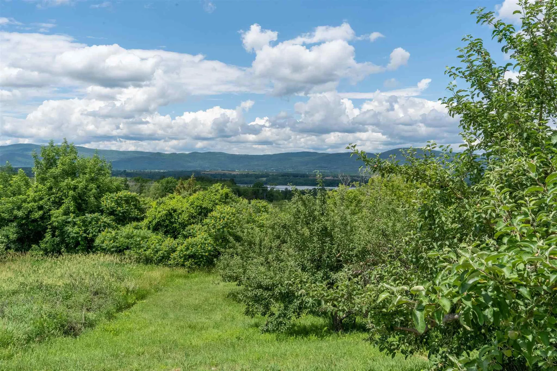 1087 Witherell Road Shoreham VT 05770