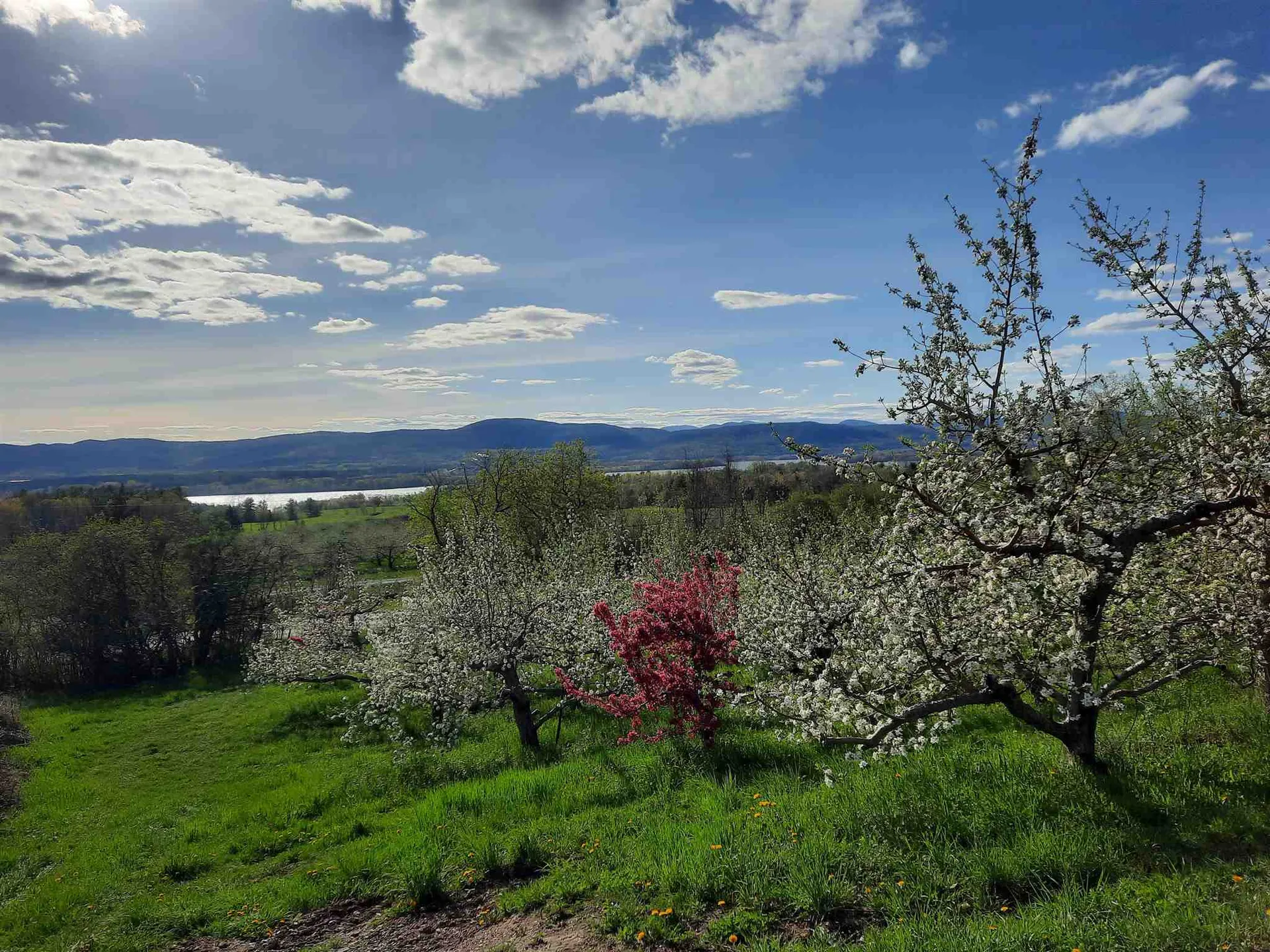 1087 Witherell Road Shoreham VT 05770