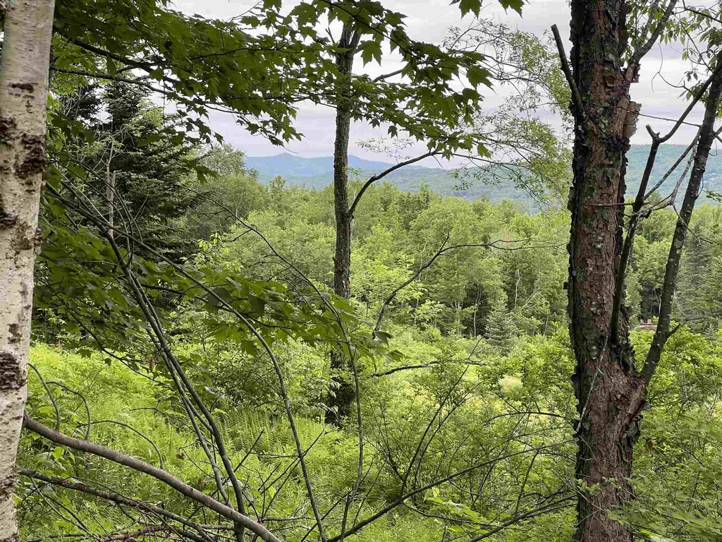 1923 German Flats Road Fayston VT 05673