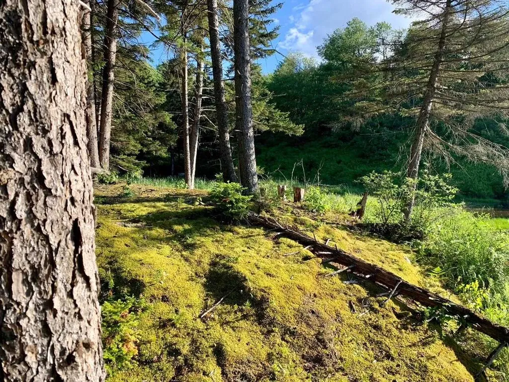 1923 German Flats Road Fayston VT 05673