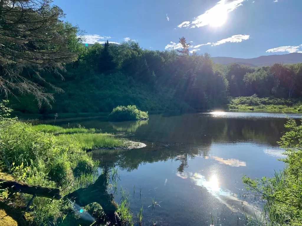 1923 German Flats Road Fayston VT 05673