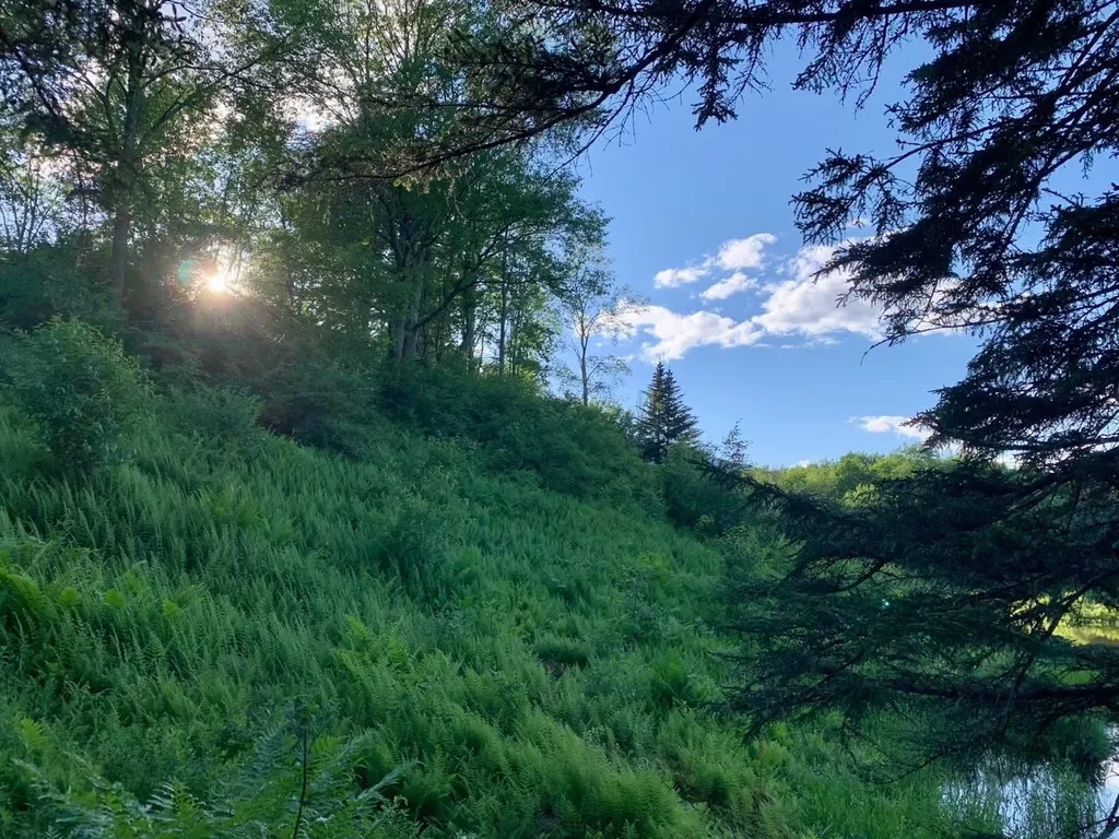 1923 German Flats Road Fayston VT 05673