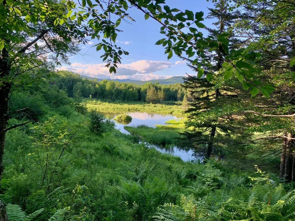 1923 German Flats Road Fayston VT 05673