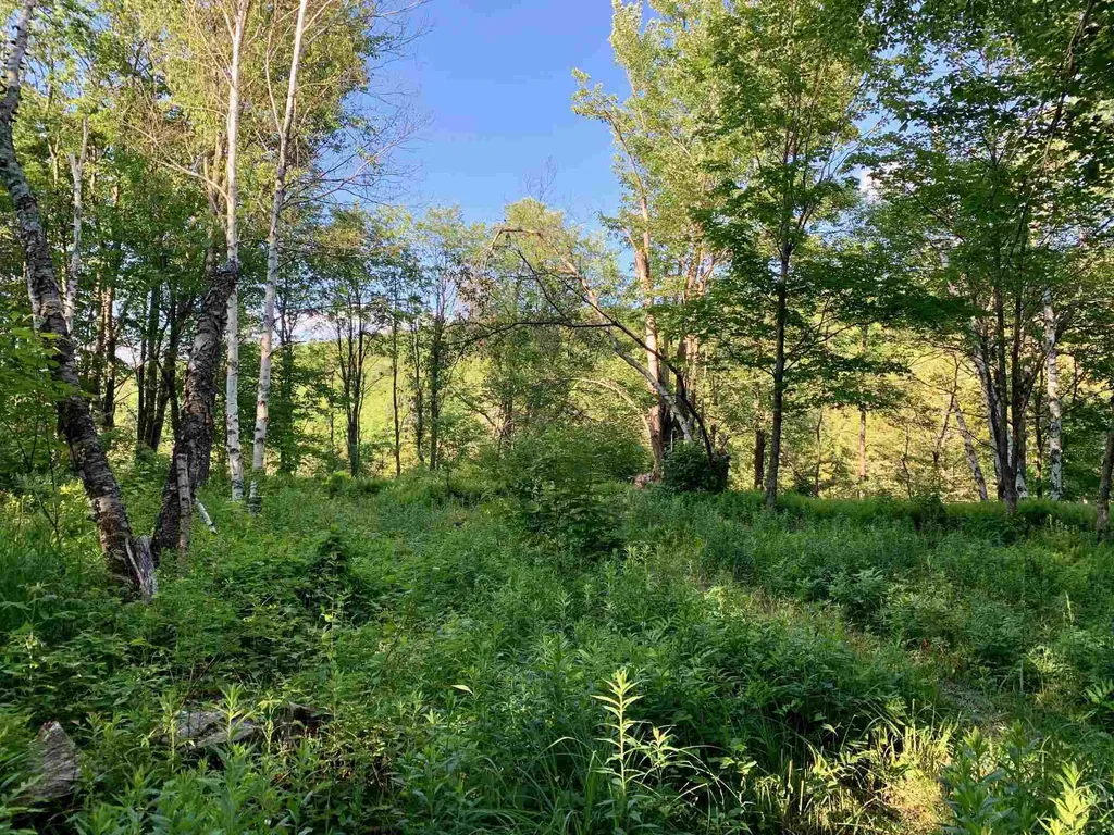 1923 German Flats Road Fayston VT 05673