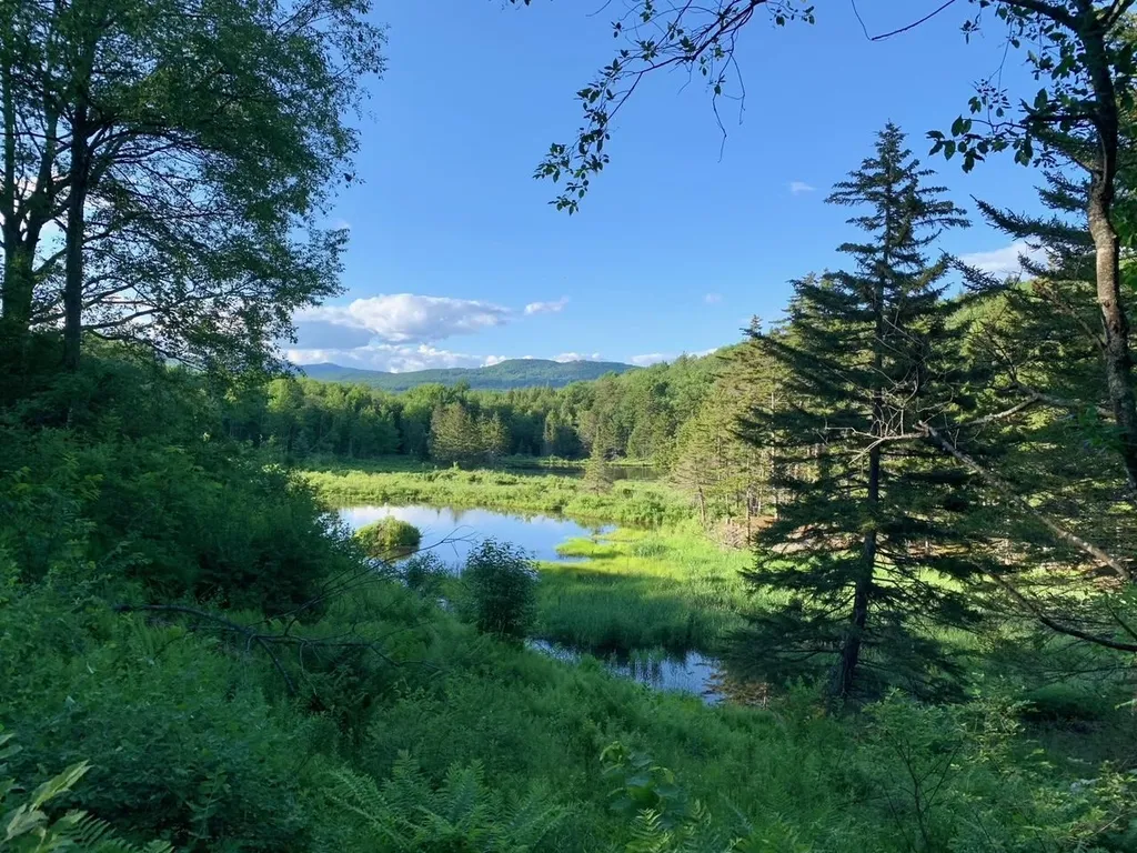 1923 German Flats Road Fayston VT 05673
