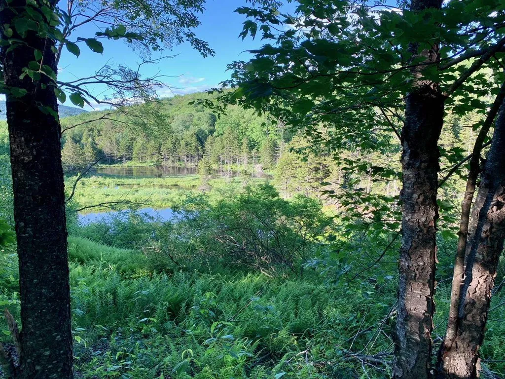 1923 German Flats Road Fayston VT 05673