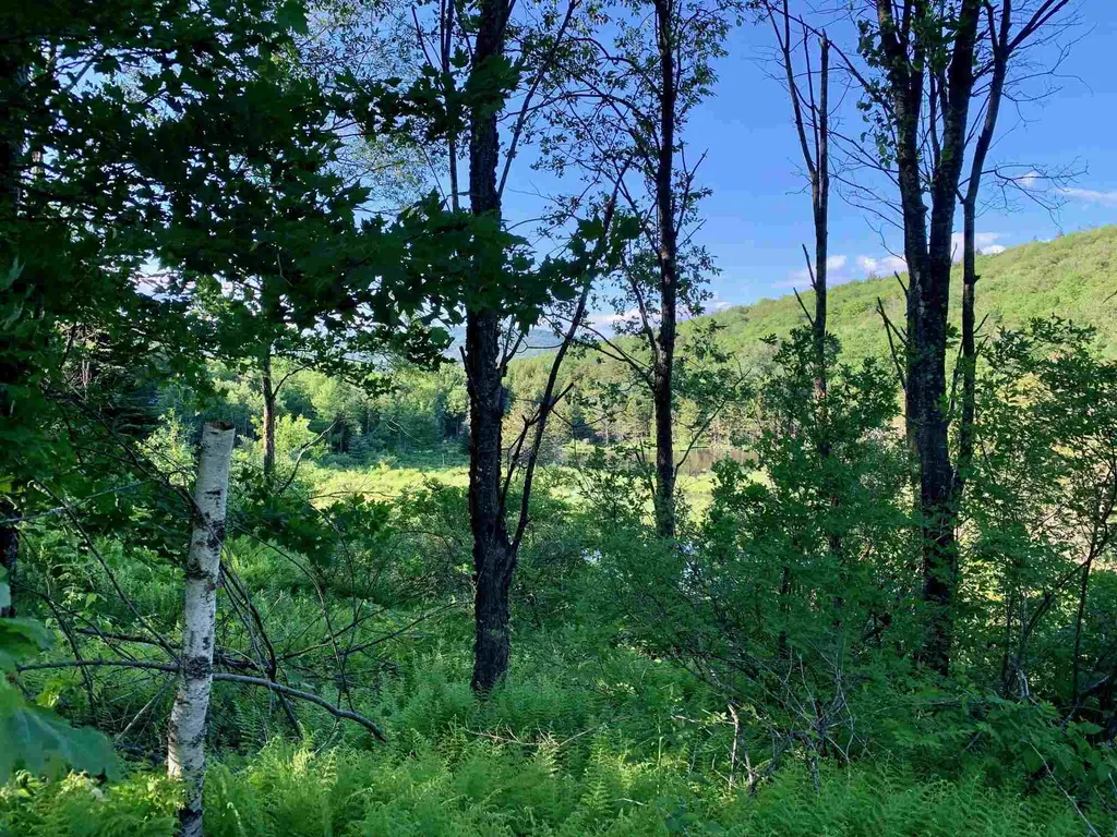 1923 German Flats Road Fayston VT 05673