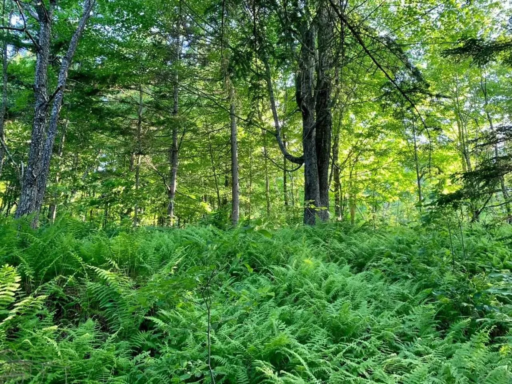 1923 German Flats Road Fayston VT 05673