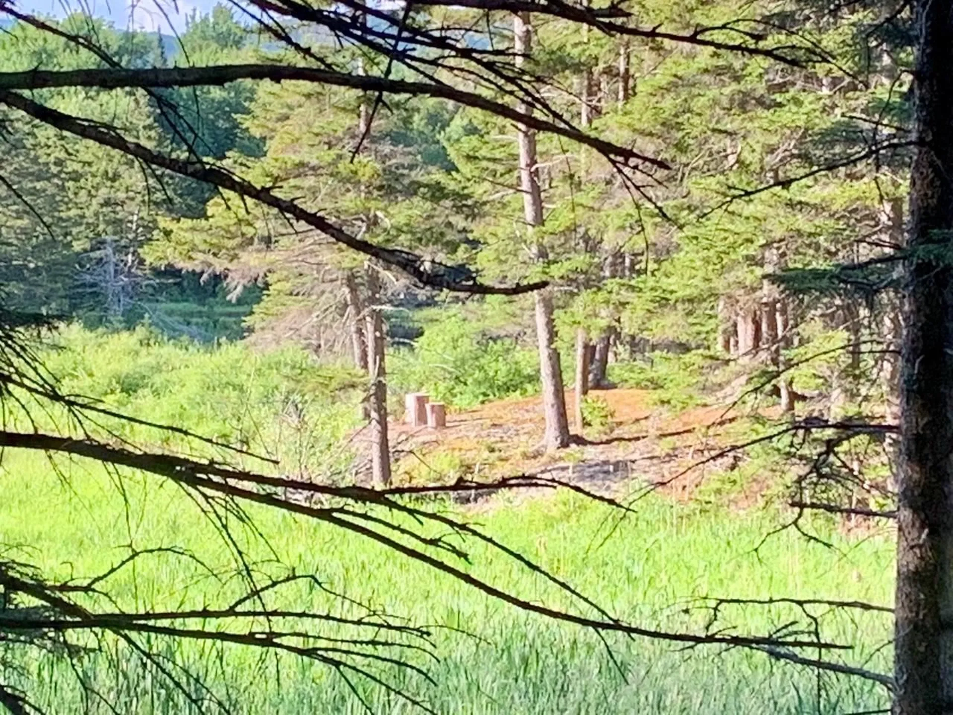1923 German Flats Road Fayston VT 05673
