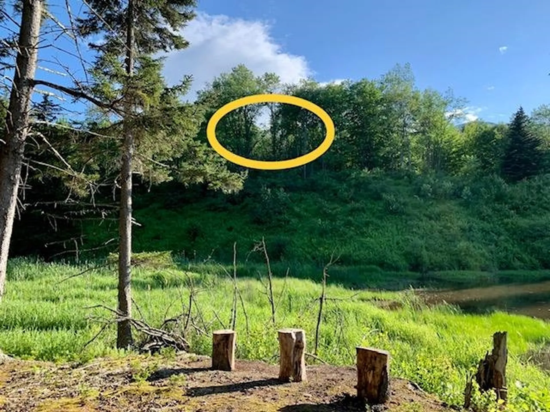 1923 German Flats Road Fayston VT 05673