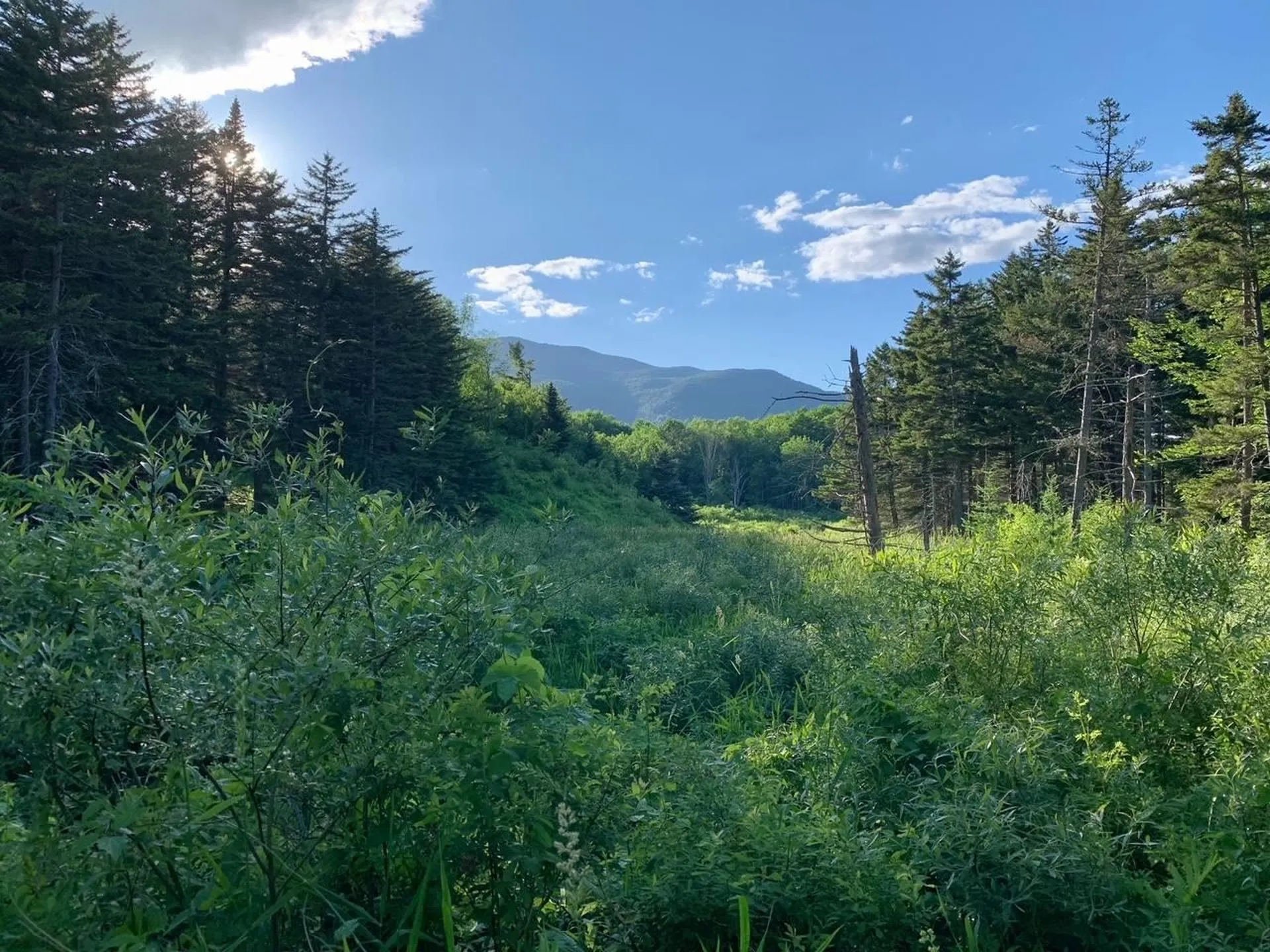 1923 German Flats Road Fayston VT 05673