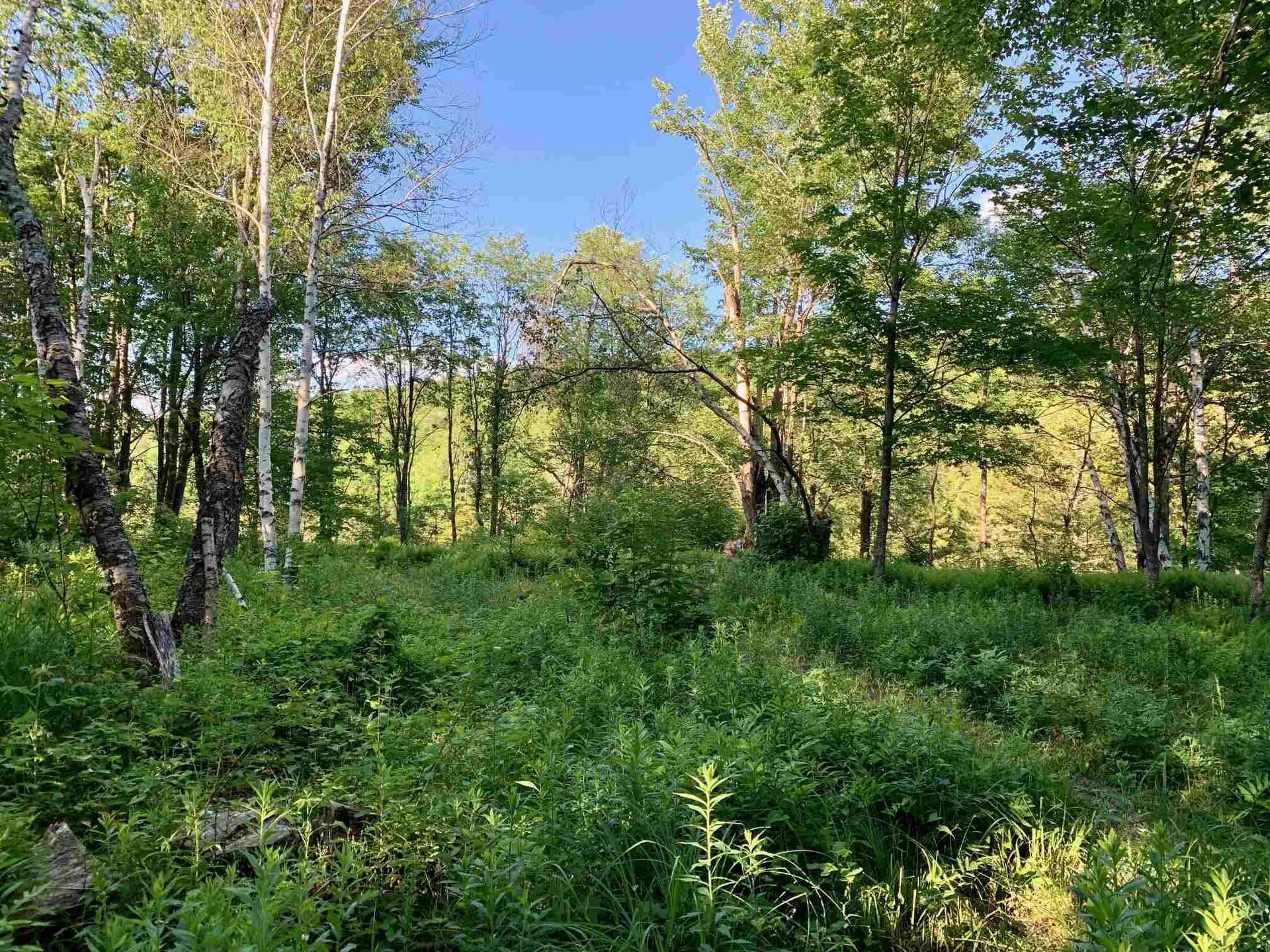 1923 German Flats Road Fayston VT 05673