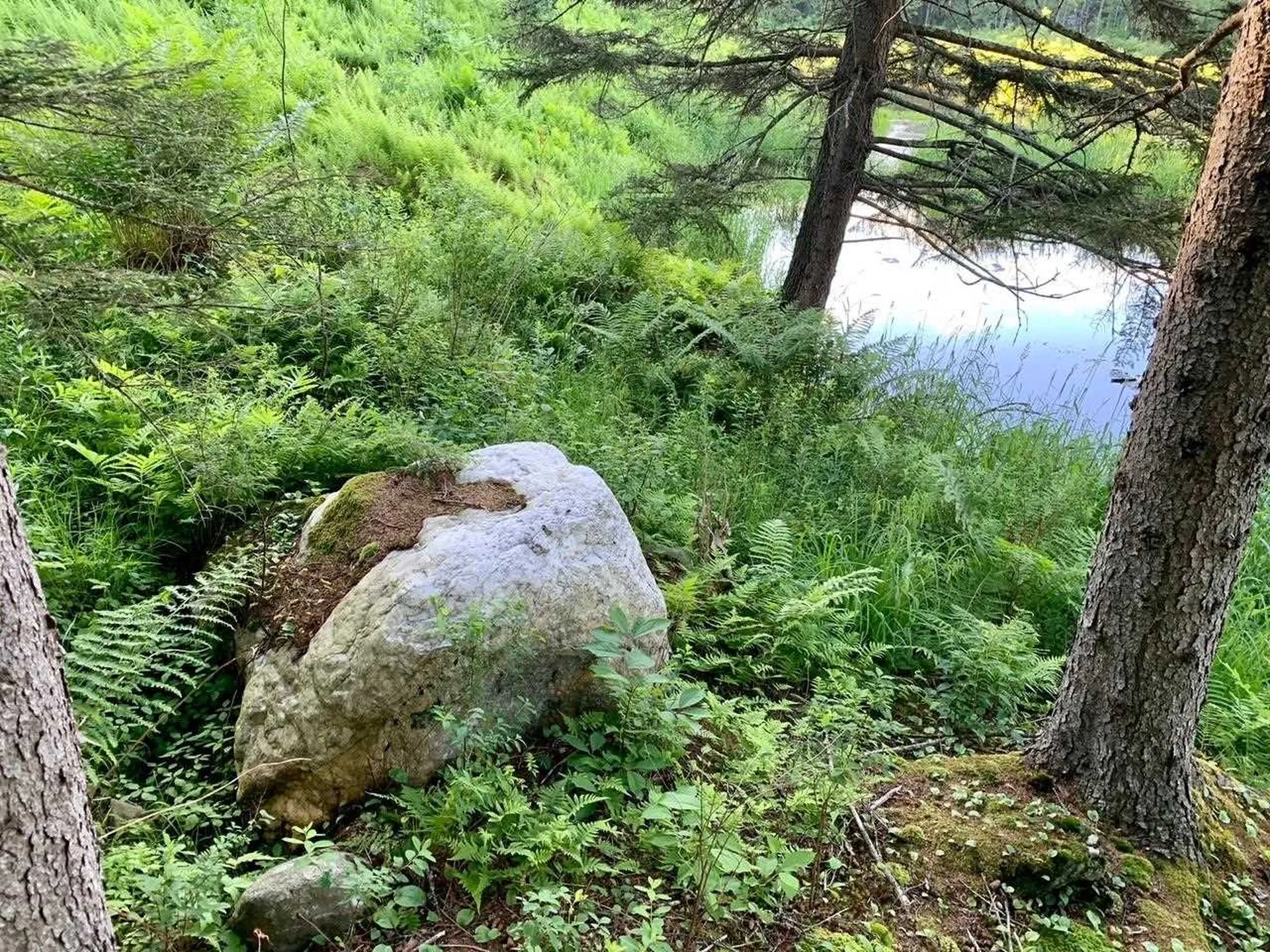 1923 German Flats Road Fayston VT 05673