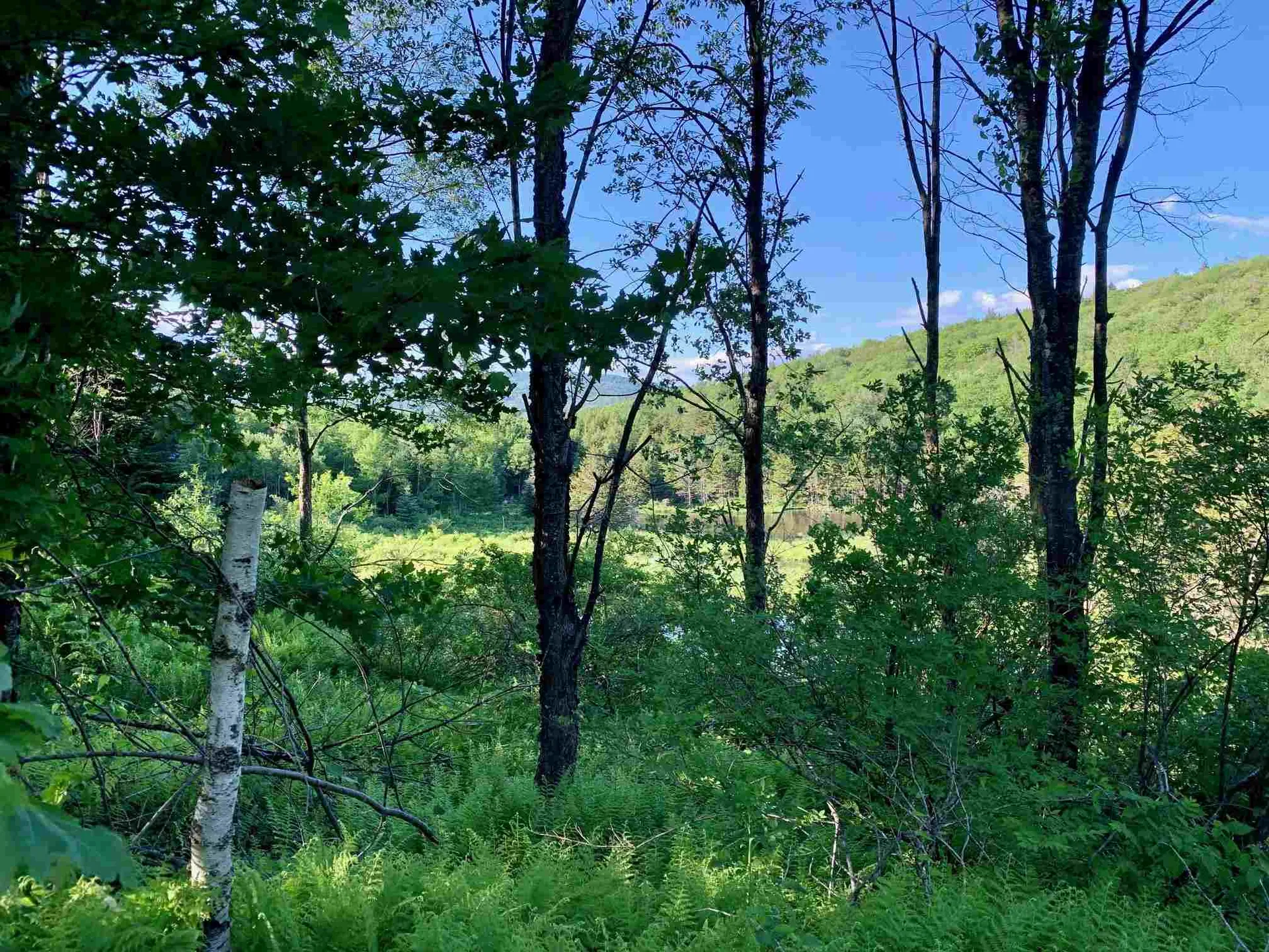 1923 German Flats Road Fayston VT 05673