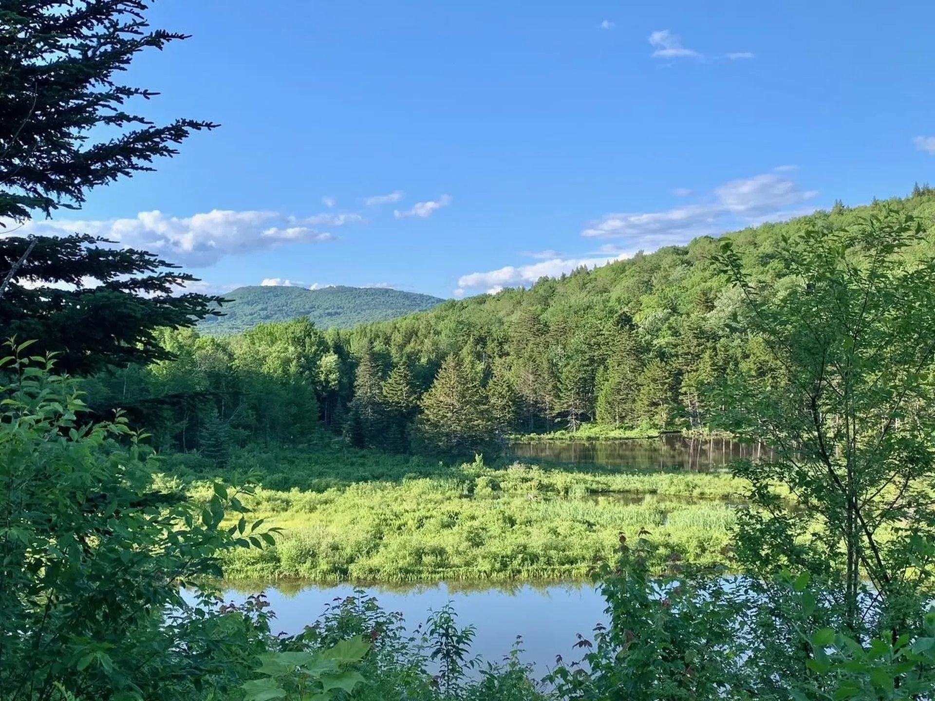 1923 German Flats Road Fayston VT 05673