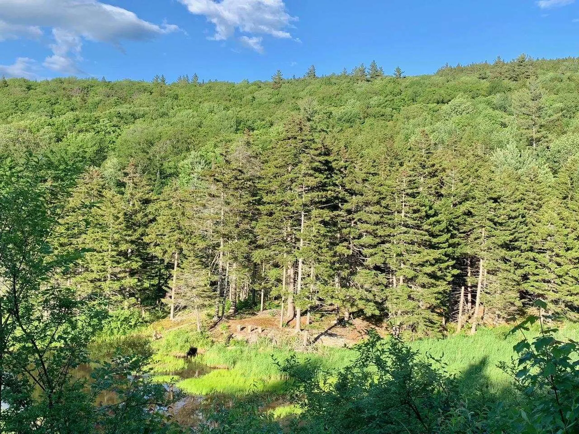 1923 German Flats Road Fayston VT 05673