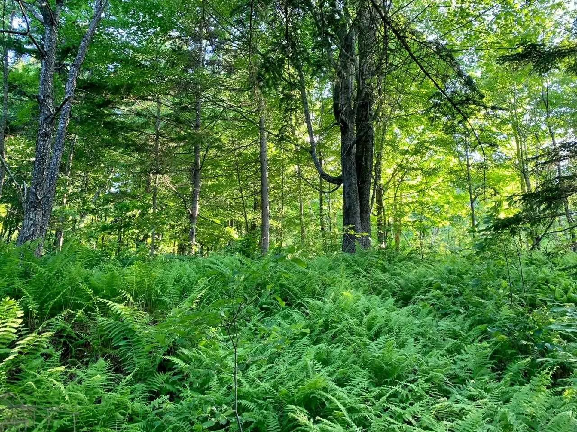 1923 German Flats Road Fayston VT 05673