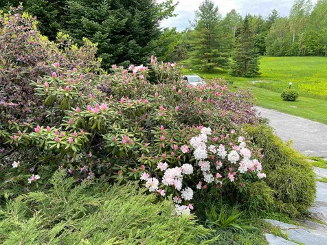 488 Woods South Road Warren VT 05673