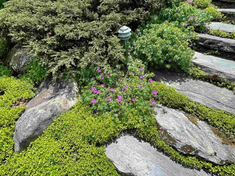 488 Woods South Road Warren VT 05673