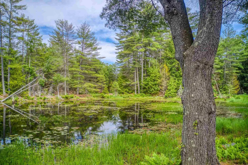 190 Carriage Road New Boston NH 03070