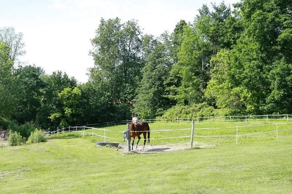190 River Road Bristol VT 05443
