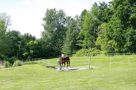 190 River Road Bristol VT 05443