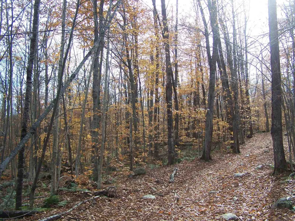 00 Route 232 Groton VT 05046