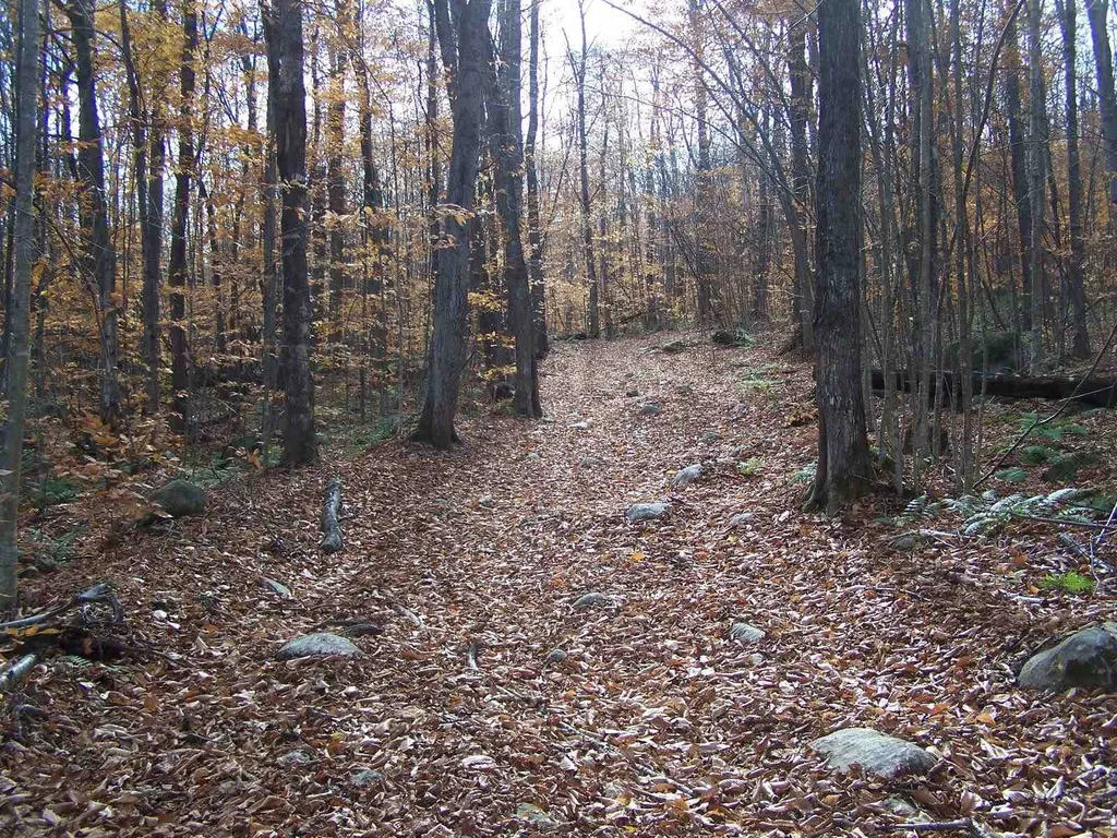 00 Route 232 Groton VT 05046