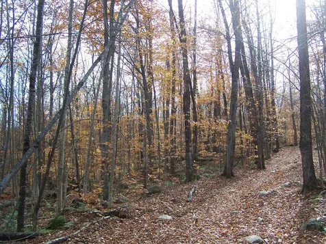 00 Route 232 Groton VT 05046