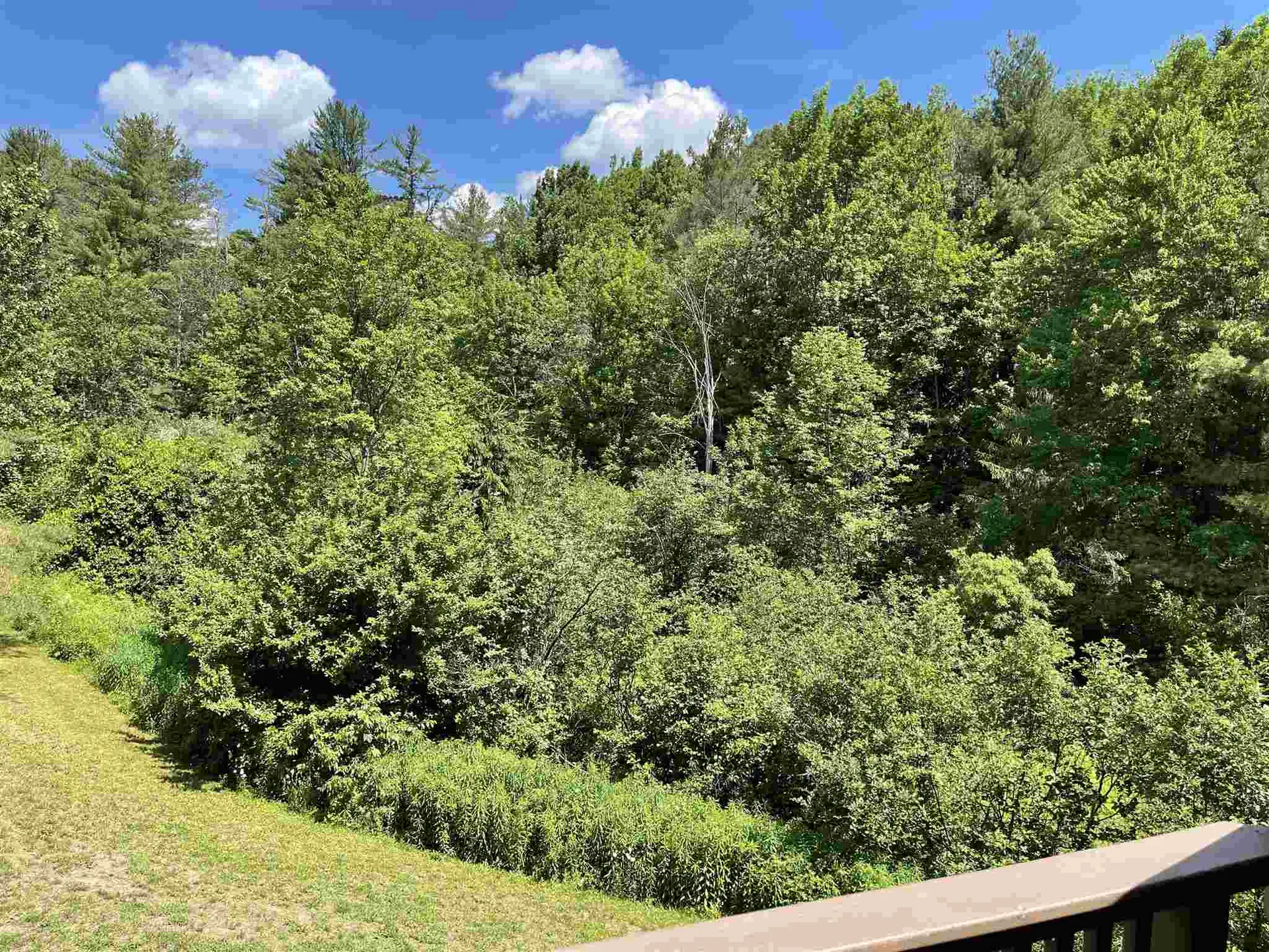 20 Heritage Condo Way Woodstock VT 05091