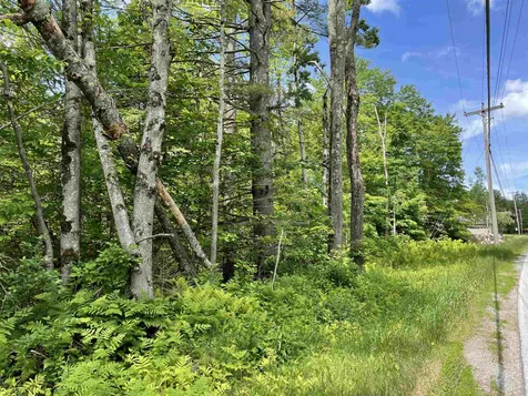 Lot 3 Vt Route 30 Jamaica VT 05343