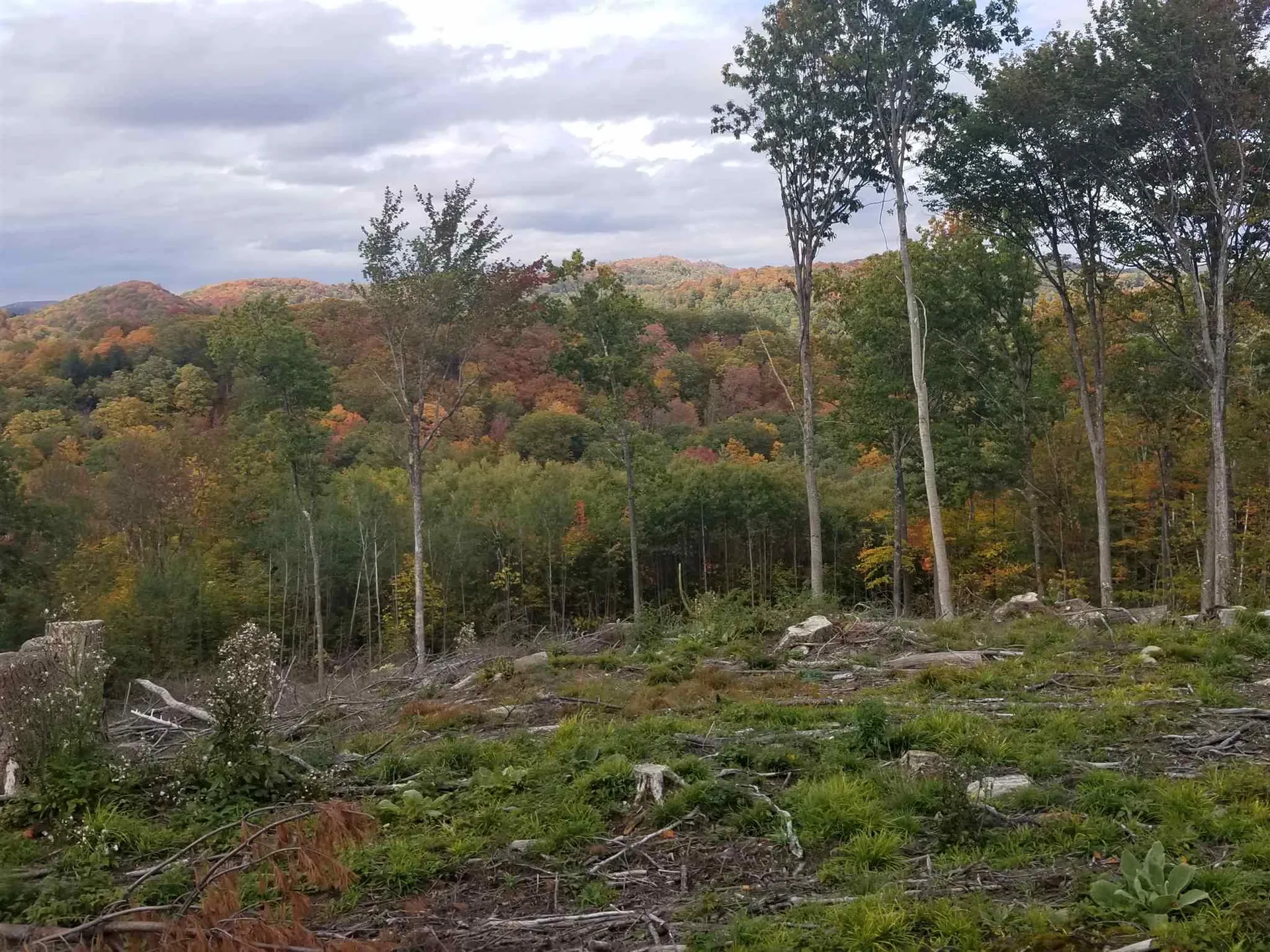 00 Tigertown Road Norwich VT 05055