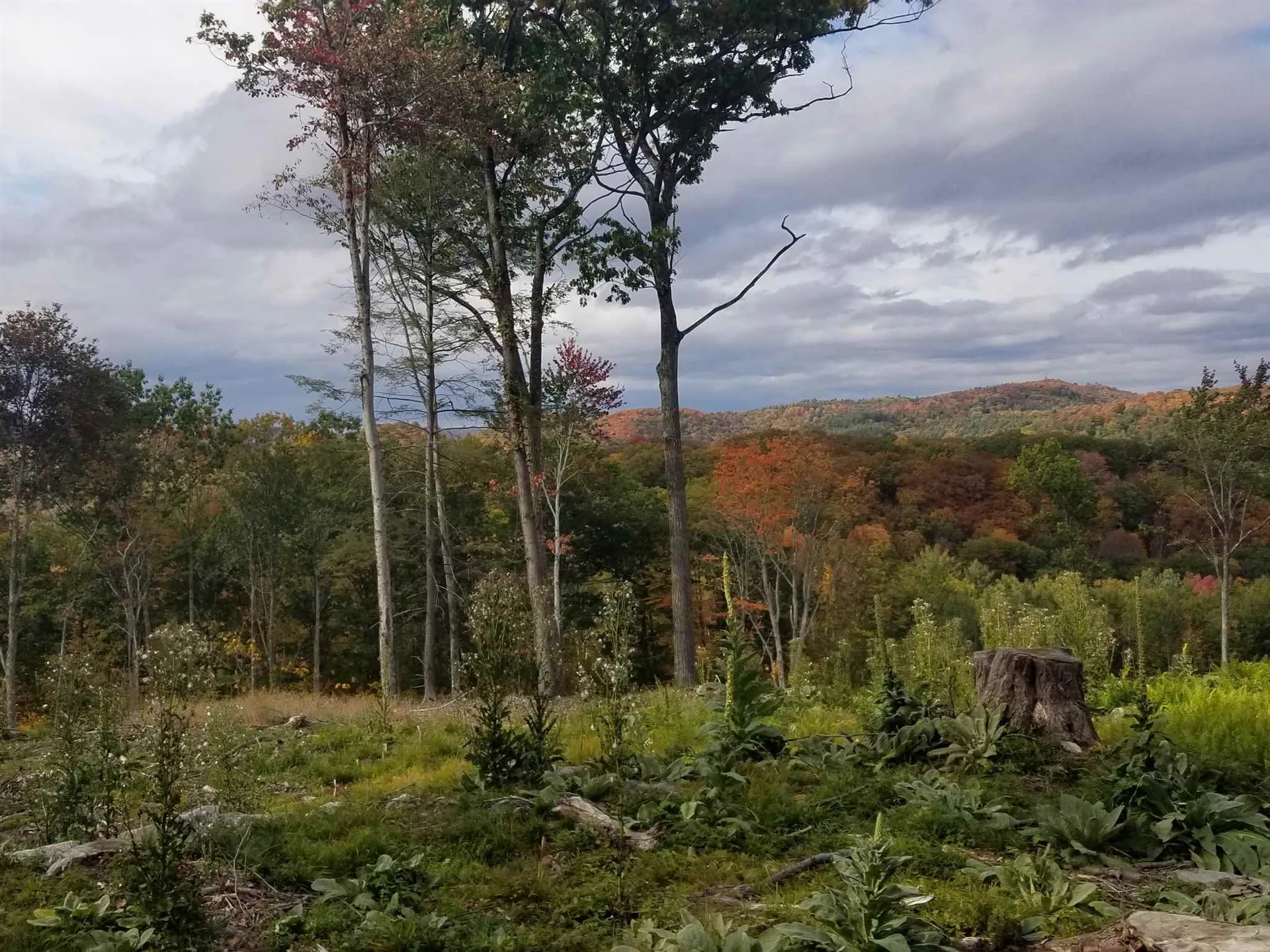 00 Tigertown Road Norwich VT 05055