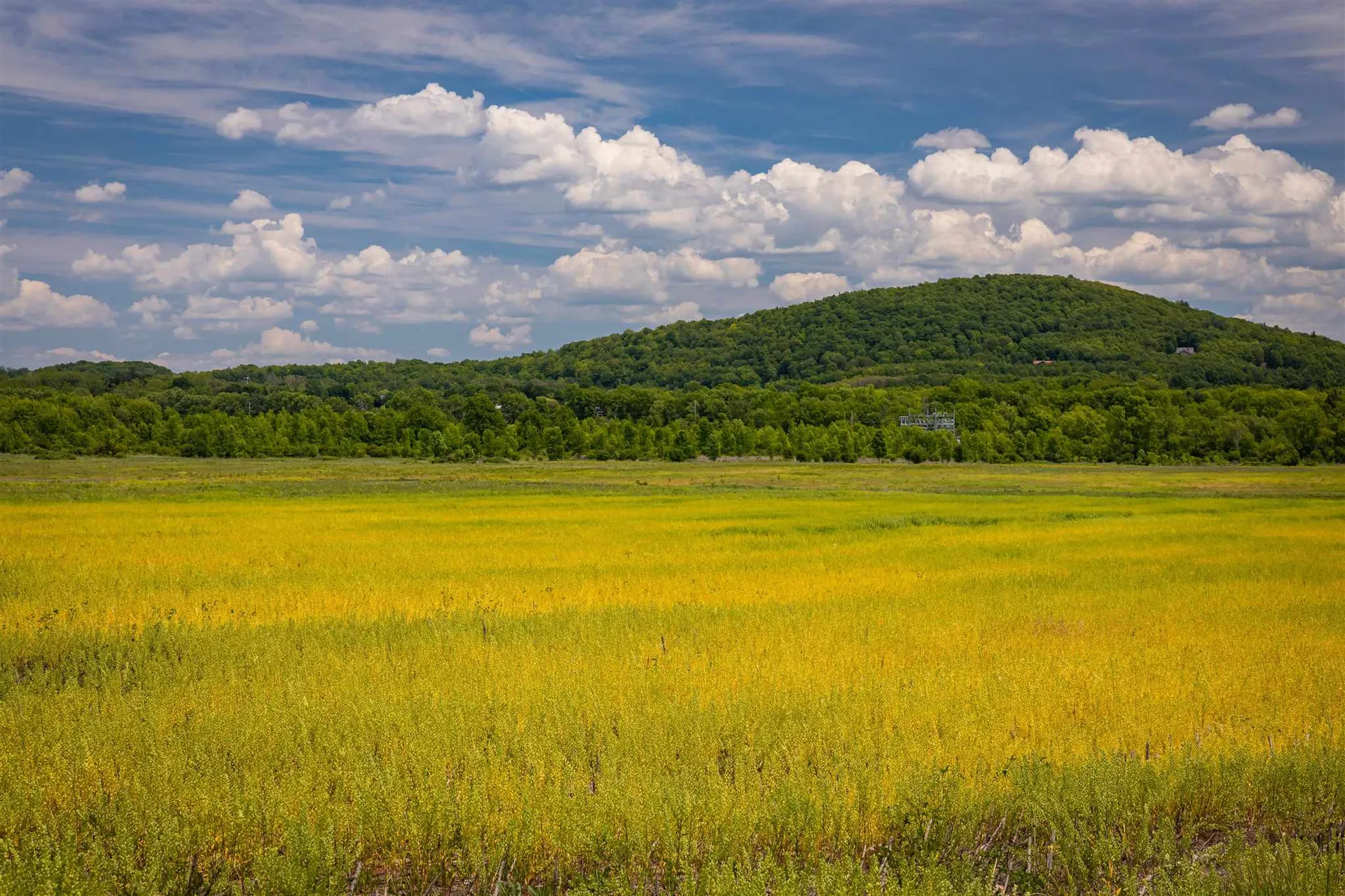 1324 Ferry Road Charlotte VT 05445