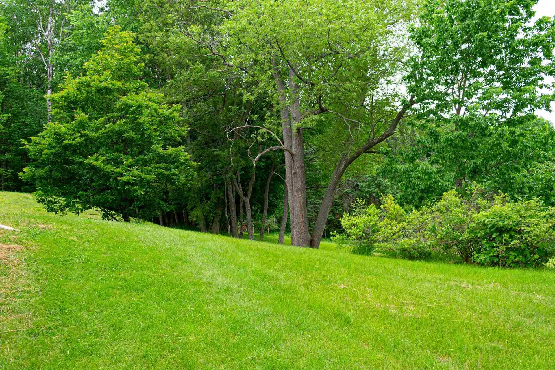 531 Dartmouth College Highway Lebanon NH 03766