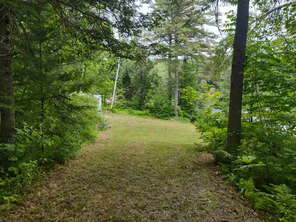 117 Dempsey Lane Newbury VT 05051