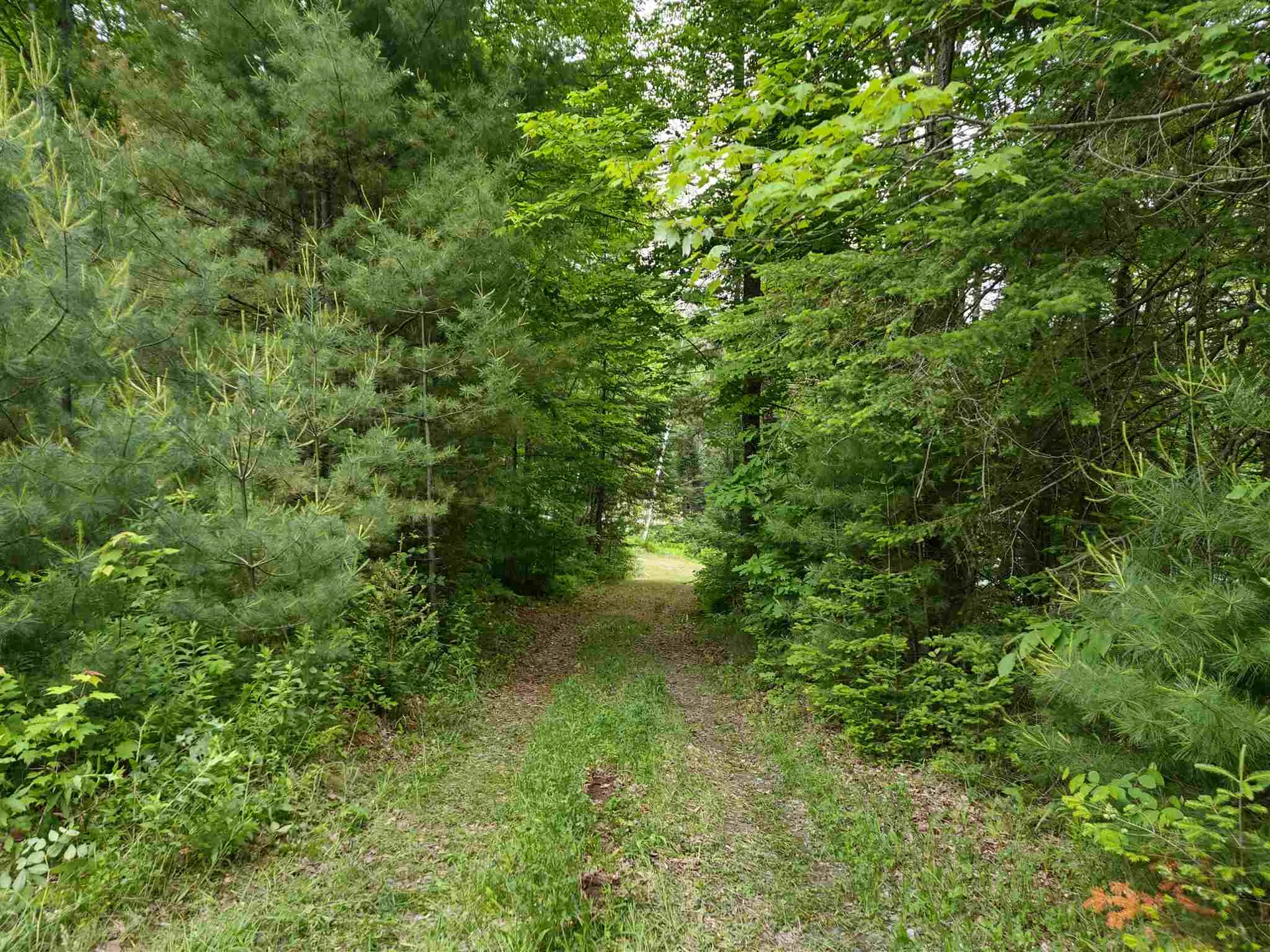 117 Dempsey Lane Newbury VT 05051