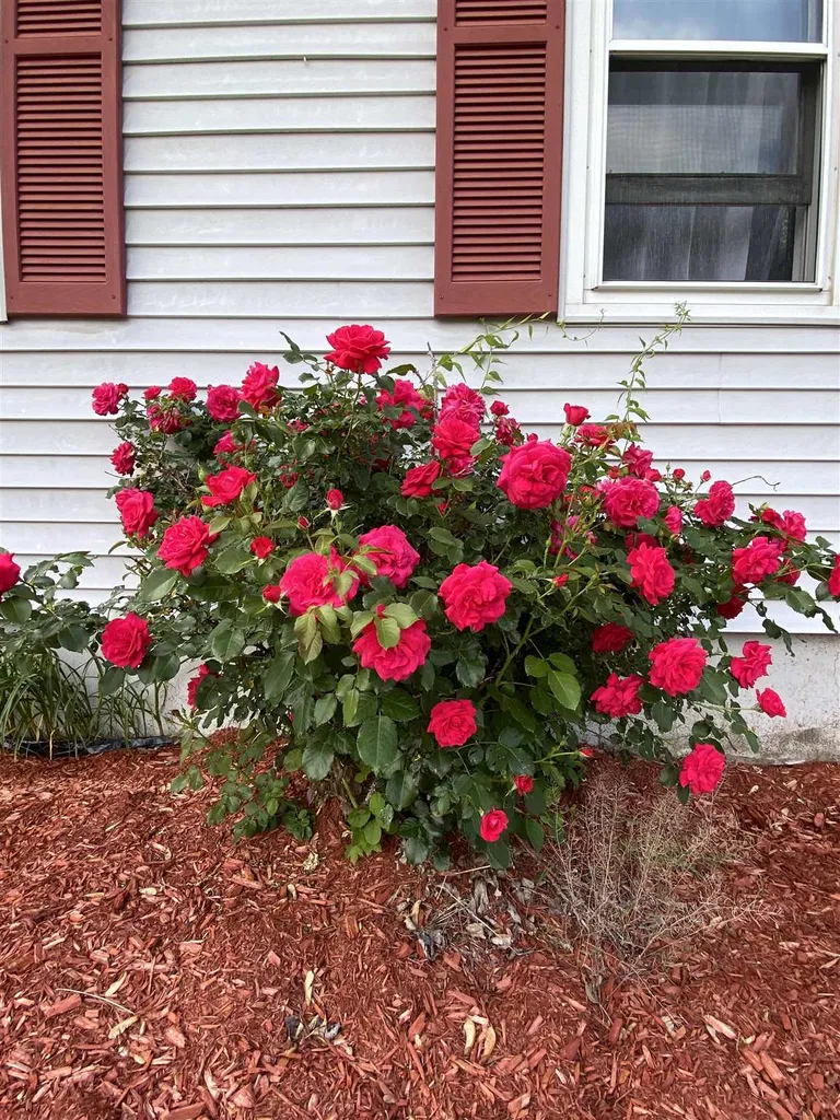 4 Donna Drive Pembroke NH 03275