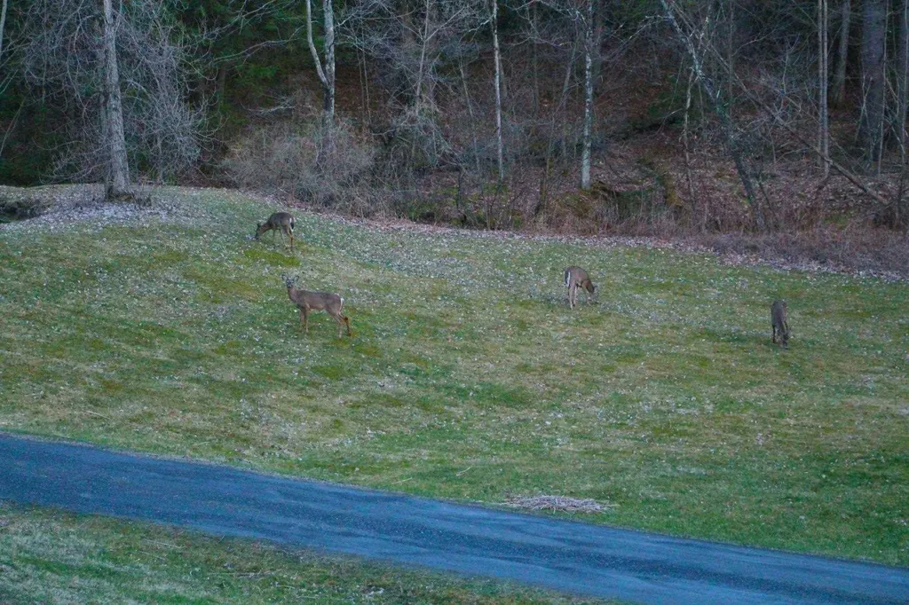 135 Governor Peck Road Jericho VT 05465