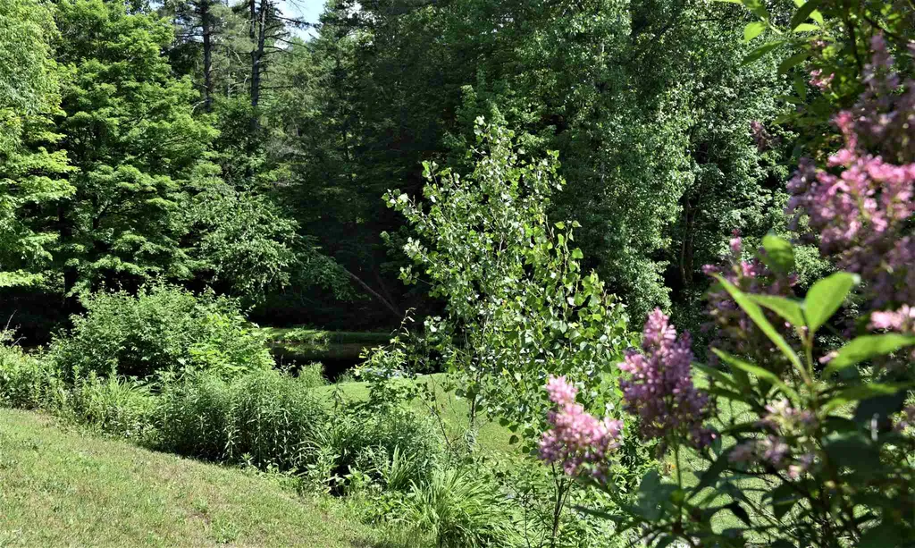 135 Governor Peck Road Jericho VT 05465