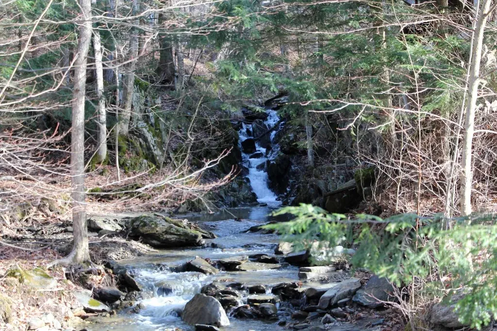 135 Governor Peck Road Jericho VT 05465