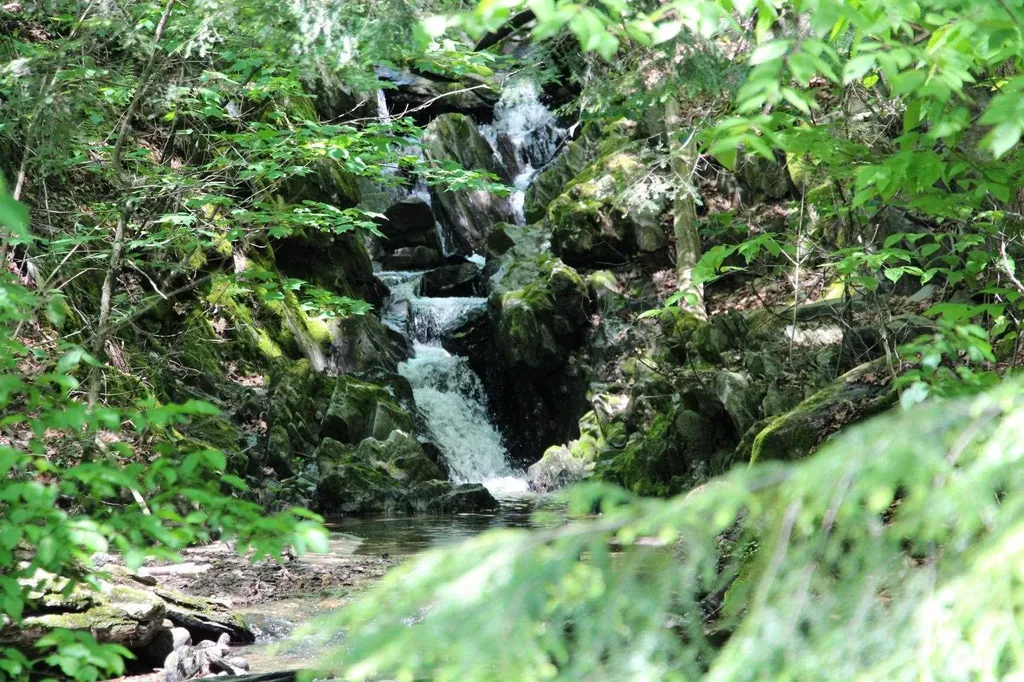 135 Governor Peck Road Jericho VT 05465